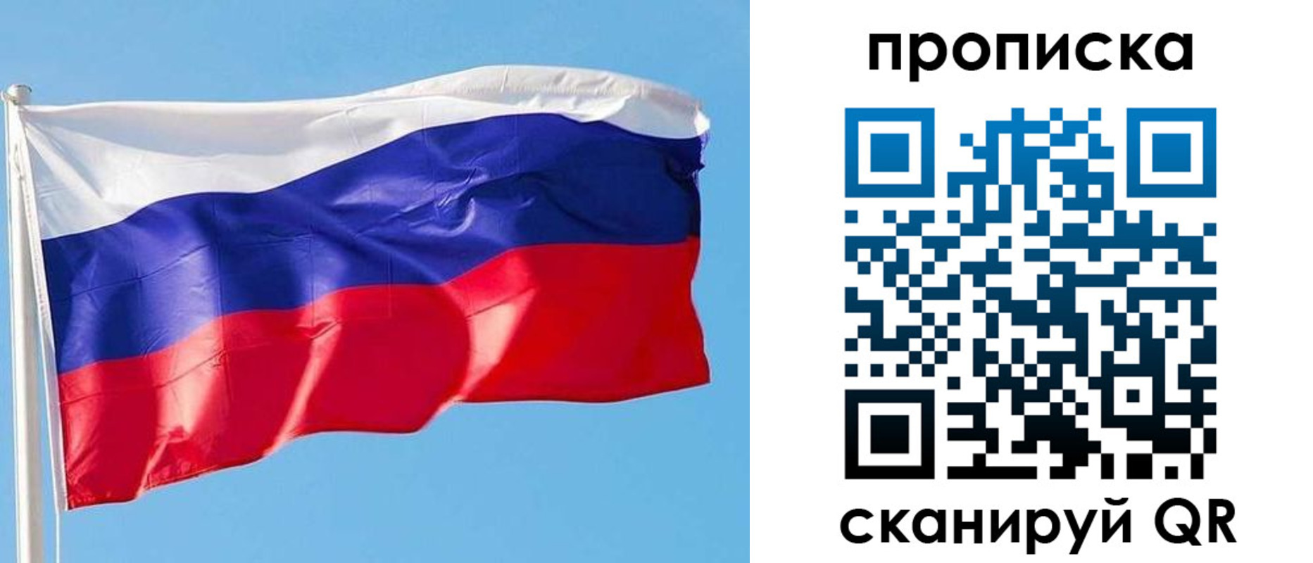 прописка поиск в Никольске